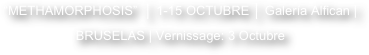 “METHAMORPHOSIS”  │ 1-15 OCTUBRE │ Galería Alfican | 
BRUSELAS | Vernissage: 3 Octubre 
